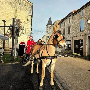Cheval beige et marron tirant une calèche