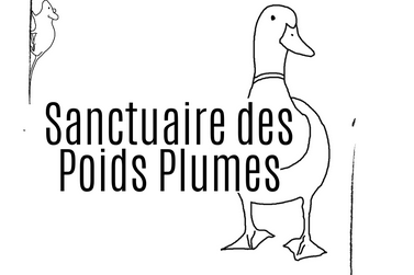 Exposition Photo du 28 février au 18 mars 2023 présentée par Maëlle Rigaud (...)