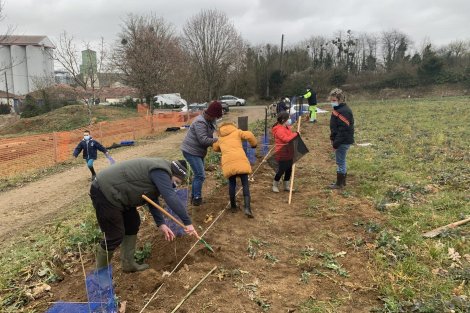 logo Plantation participative