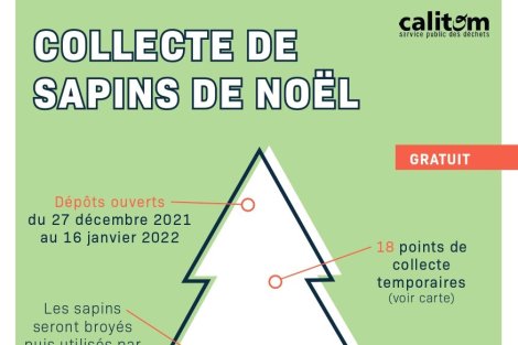 Collecte des sapins de noël
