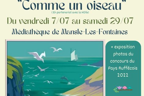 Exposition " Comme un oiseau" du 7 juillet au 29 juillet