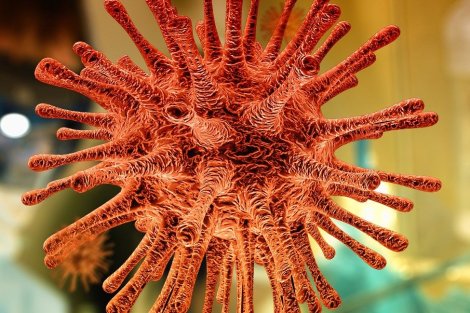 logo Coronavirus