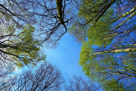 Aménagements environnementaux