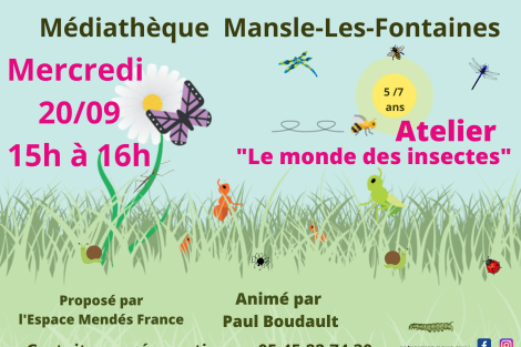 Atelier " Le monde des insectes "