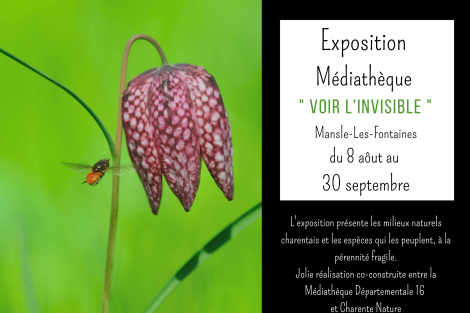 Exposition " Voir L'invisible " Du 8 Août au 30 septembre
