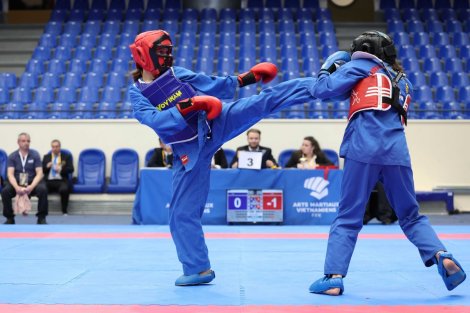 logo Lise Plaize championne de France combat des arts martiaux vietnamiens